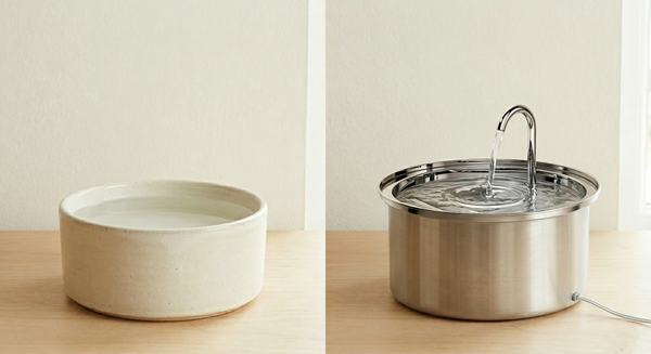 Comparaison entre un bol d'eau classique et une fontaine à eau pour chat en acier inoxydable
