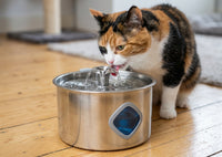Fontaine Liore Inox 3,2L — L'eau qu'il mérite